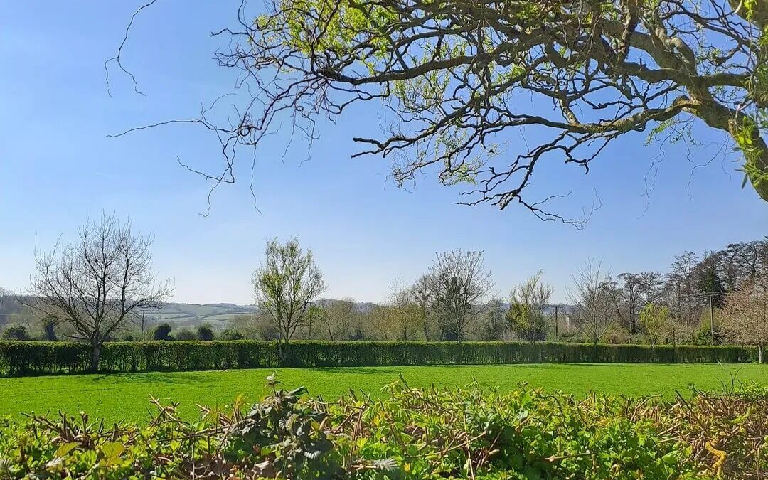 The AuDHD Paradox: How to Balance Need for Routine vs. Boredom