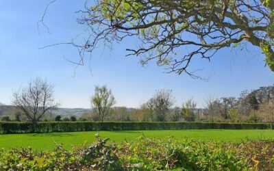 The AuDHD Paradox: How to Balance Need for Routine vs. Boredom